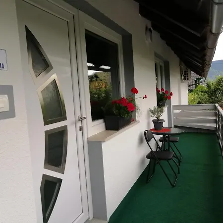 Apartma Carnica 아파트