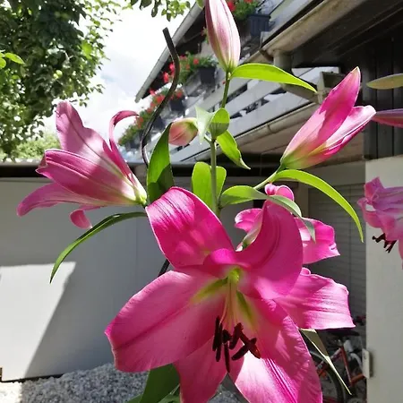 Διαμέρισμα Apartma Carnica