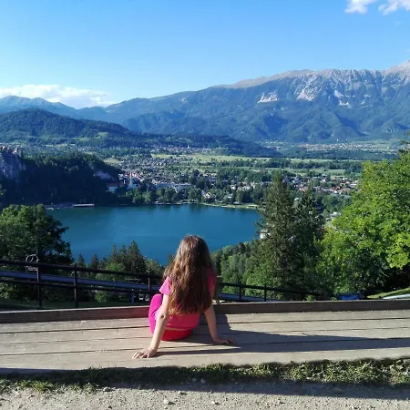 Apartma Carnica Appartement Bled