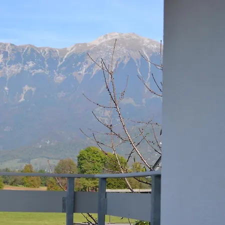 Apartma Carnica Bled