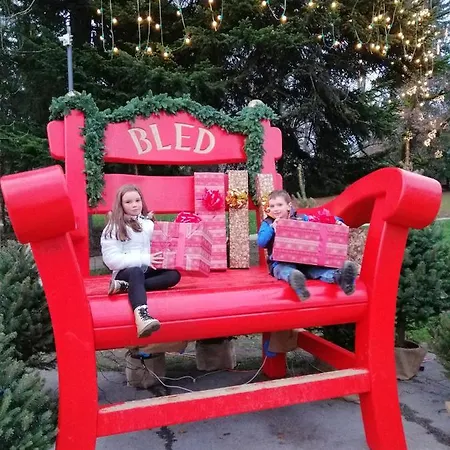 Apartma Carnica * בלד