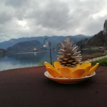 Apartma Carnica בלד