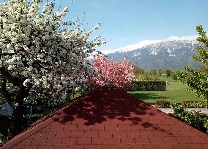 Lejlighed Apartma Carnica