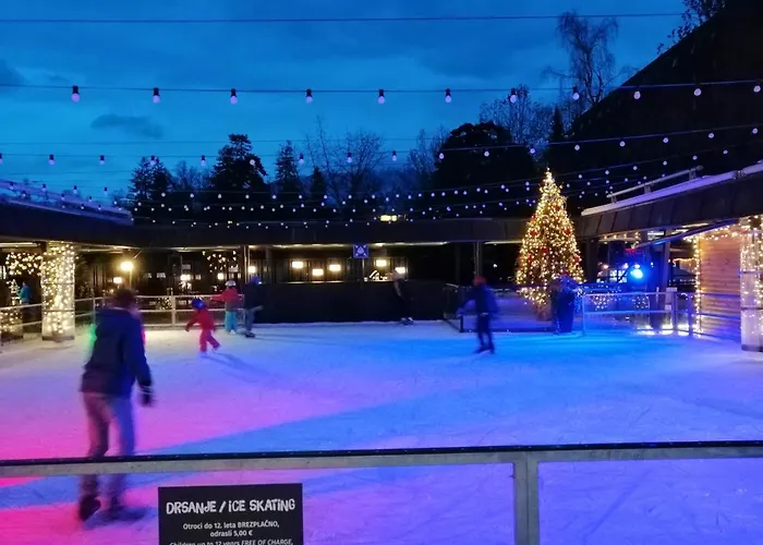 Apartma Carnica 아파트 *