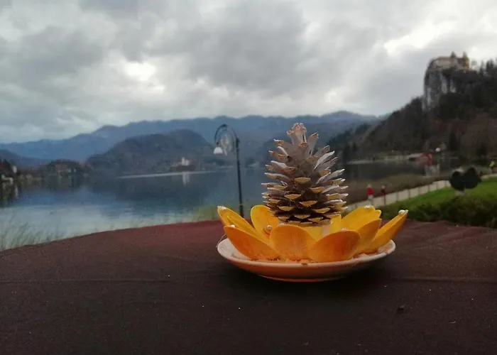 Apartma Carnica Bled